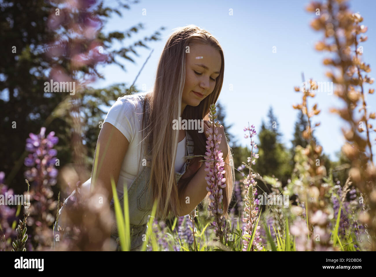 Duftenden Blume Mädchen im Feld Stockfoto