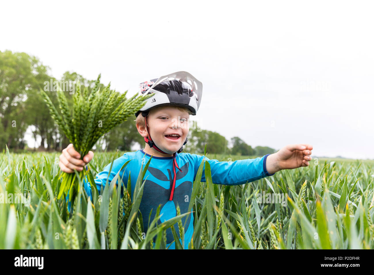 Junge in einem Maisfeld, Familie Radtour entlang der Elbe, Abenteuer, von Torgau, Riesa, Sachsen, Deutschland, Europa Stockfoto