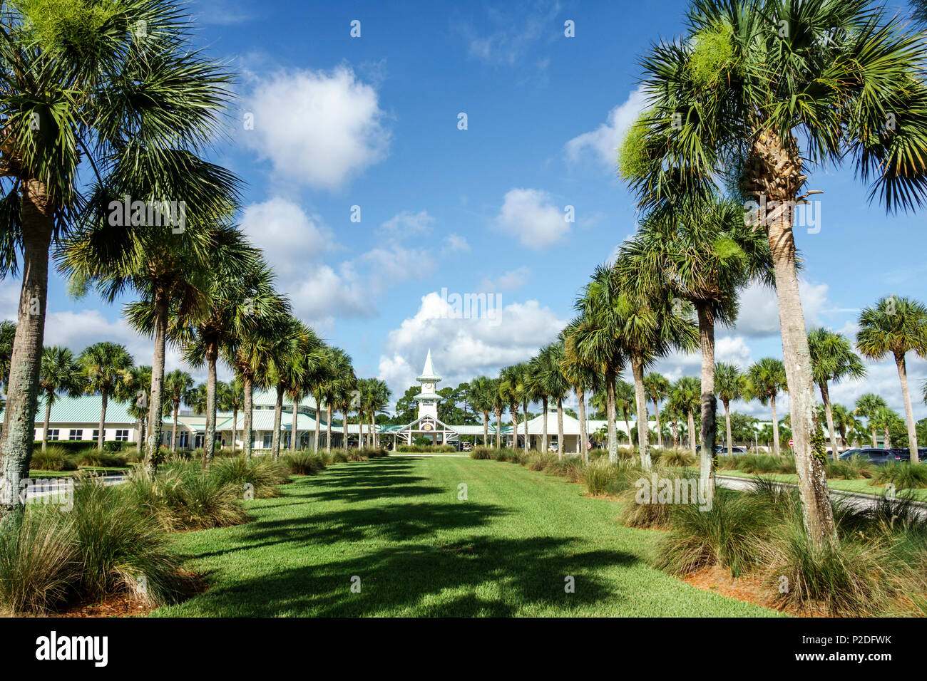 Florida Port Saint St. Lucie, PGA Golf Club im PGA Village, Resort, Uhrenturm, Golfer-Check-in-Eingang, Sabal Palmetto, Kohlpalme, FL170730078 Stockfoto