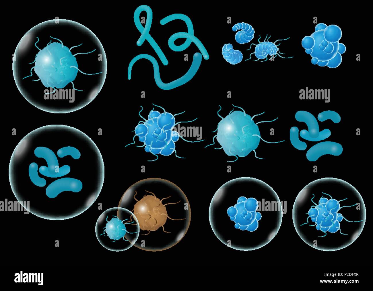 Bakterien Und Keime Und Mikroorganismen Krankheit Verursachenden Objekte Verschiedene Arten Bakterien Viren Vector Illustration Auf Schwarzem Hintergrund Stock Vektorgrafik Alamy