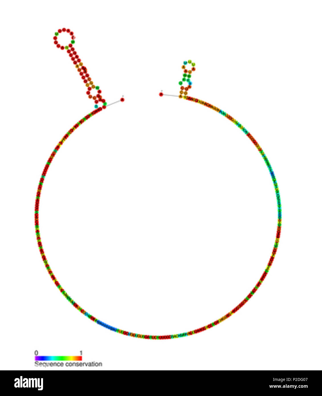 48 RF 01086 Stockfoto