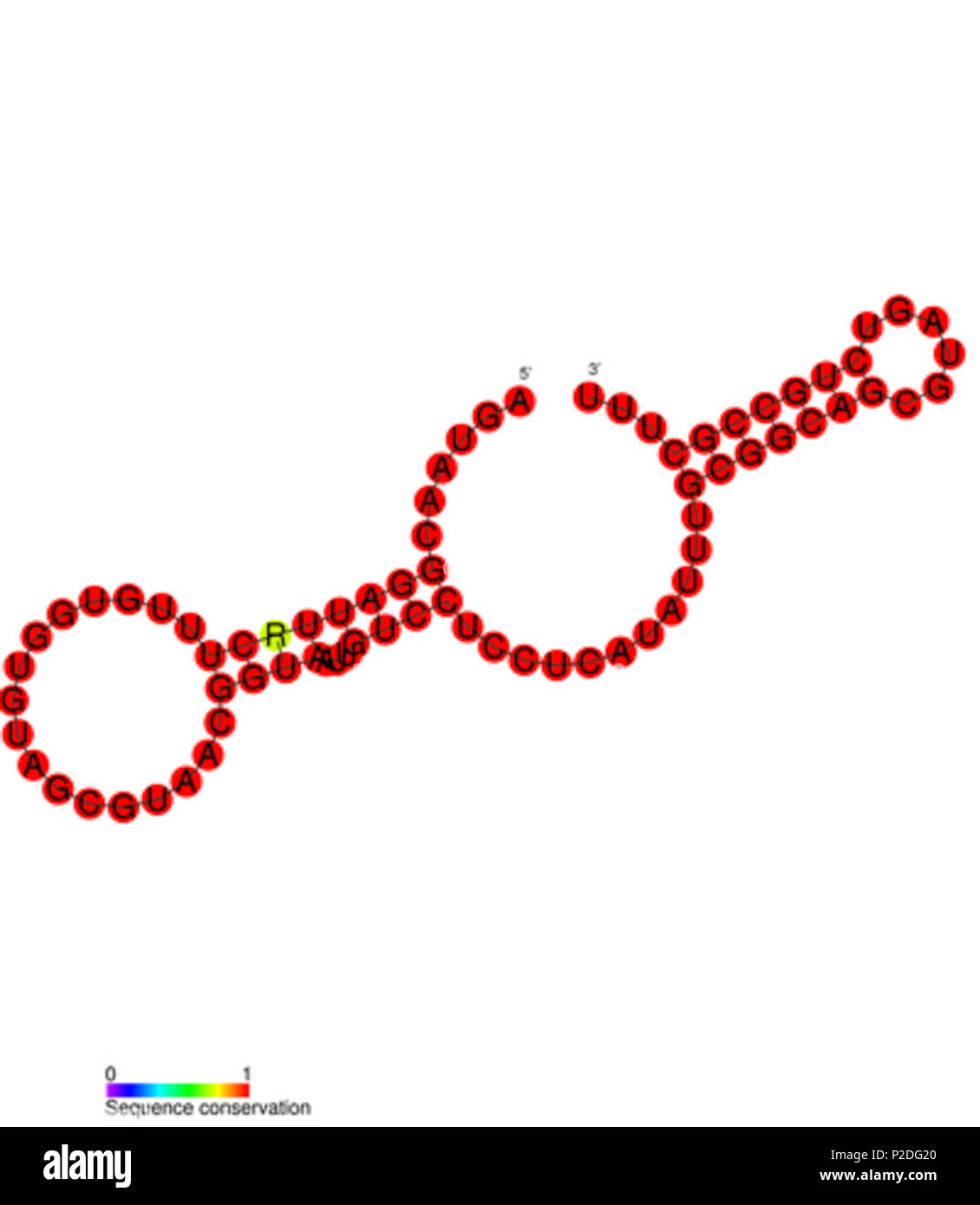 48 RF 01404 Stockfoto