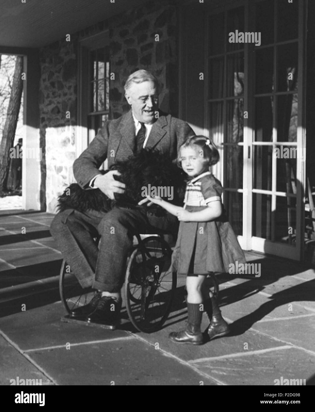. Englisch: Franklin D. Roosevelt, Fala und Ruthie Bie bei Hill Top Cottage in Hyde Park, New York, Das bessere von zwei vorhandenen Fotos von FDR im Rollstuhl. Februar 1941. Margaret Suckley 49 Roosevelt in einem Rollstuhl Stockfoto