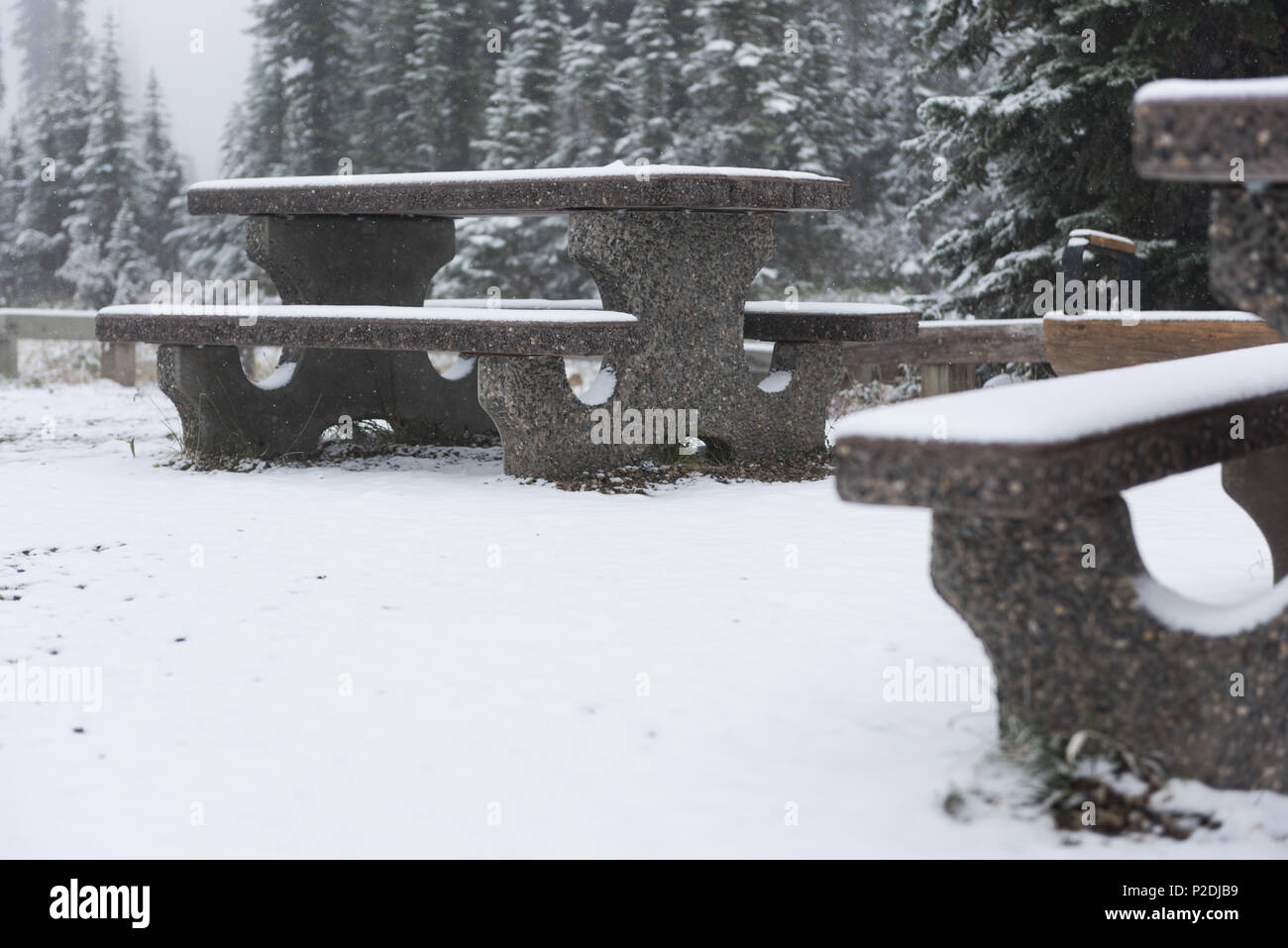 Sitzbank mit Schnee bedeckt an einem Wintertag Stockfoto