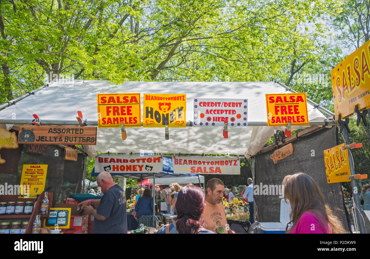 Spring Garden Festival in Gainesville, Florida. Stockfoto