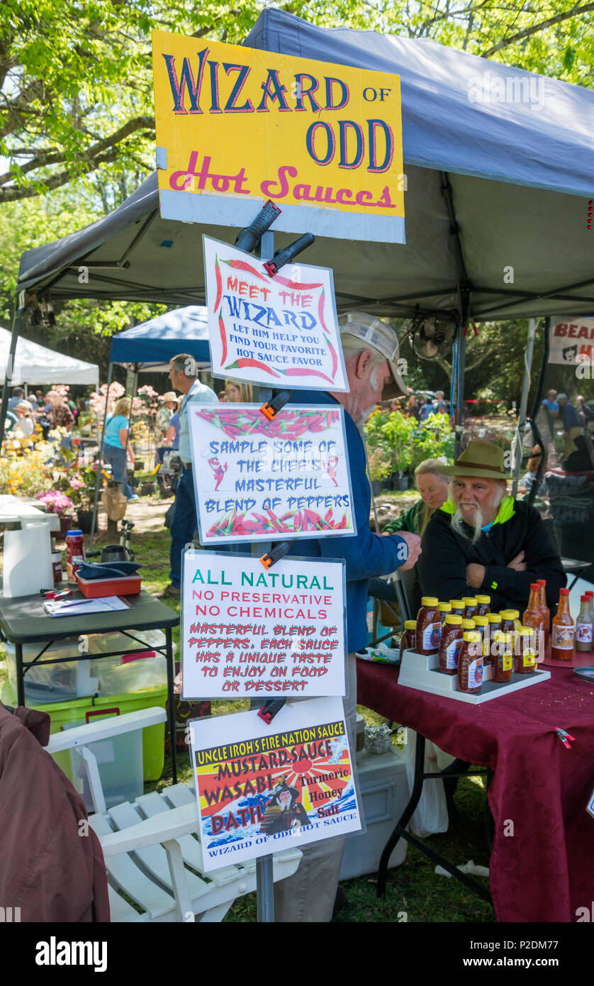 Spring Garden Festival in Gainesville, Florida. Stockfoto