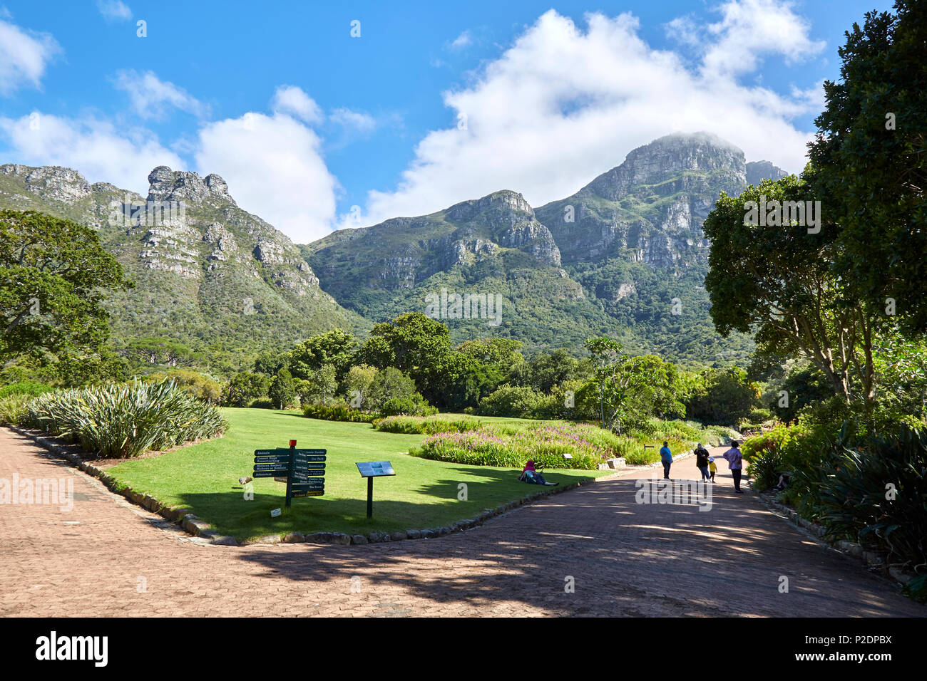Die Kirstenbosch Botanical Gardens, Kapstadt. Stockfoto