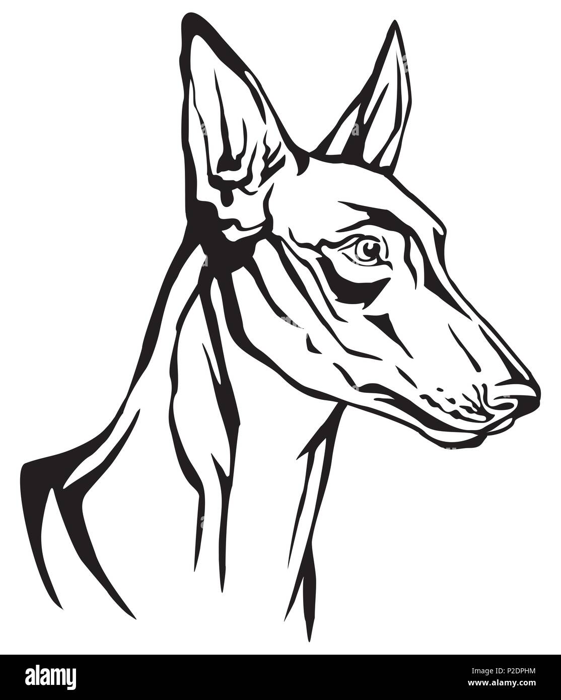 Dekorative Portrait im Profil von Hund Pharaoh Hound, Vektor isoliert Abbildung in schwarz auf weißem Hintergrund Stock Vektor