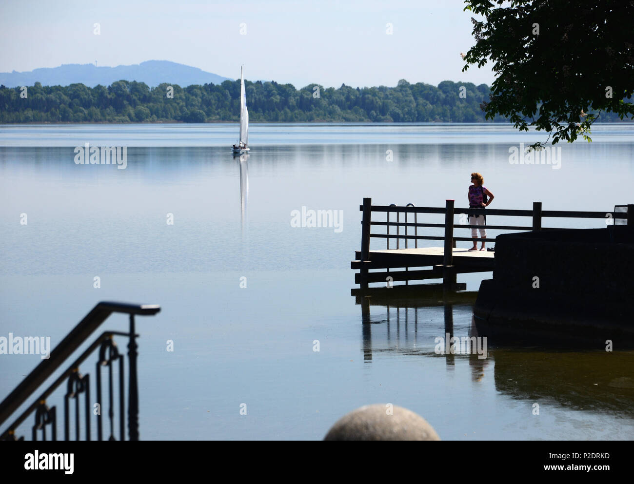 Waginger See in der Nähe von Waging in Altsalzburger, Chiemgau, Oberbayern, Bayern, Deutschland Stockfoto
