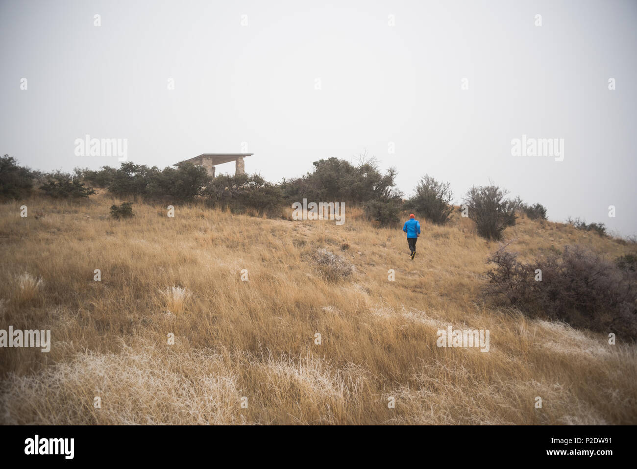 Ein Mann läuft in der Frost bedeckt Orgel in den Bergen in Las Cruces, New Mexico. Stockfoto