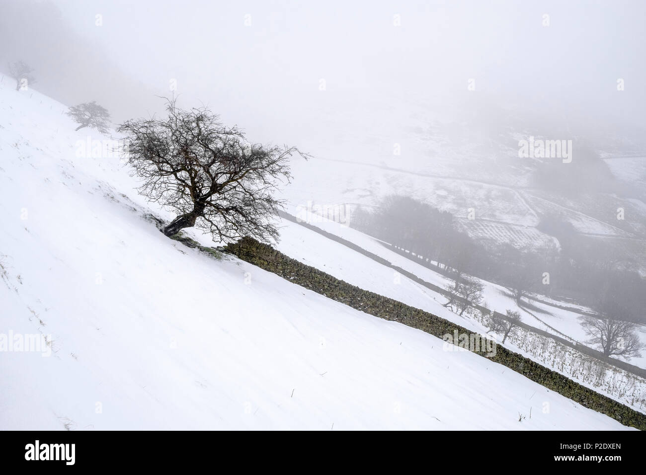 Winterlandschaft. Schneefall in den Hügeln im Peak District Landschaft. Snowy Szene an Broadlee Bank Tor, Vale von Alfreton, Derbyshire, England, Großbritannien Stockfoto