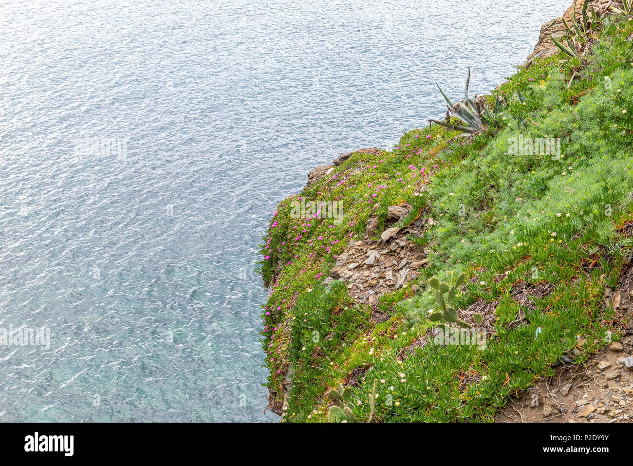 Riomaggiore, Italien ist Teil der Cinque Terre an der italienischen Riviera und ist ein UNESCO-Weltkulturerbe. Stockfoto