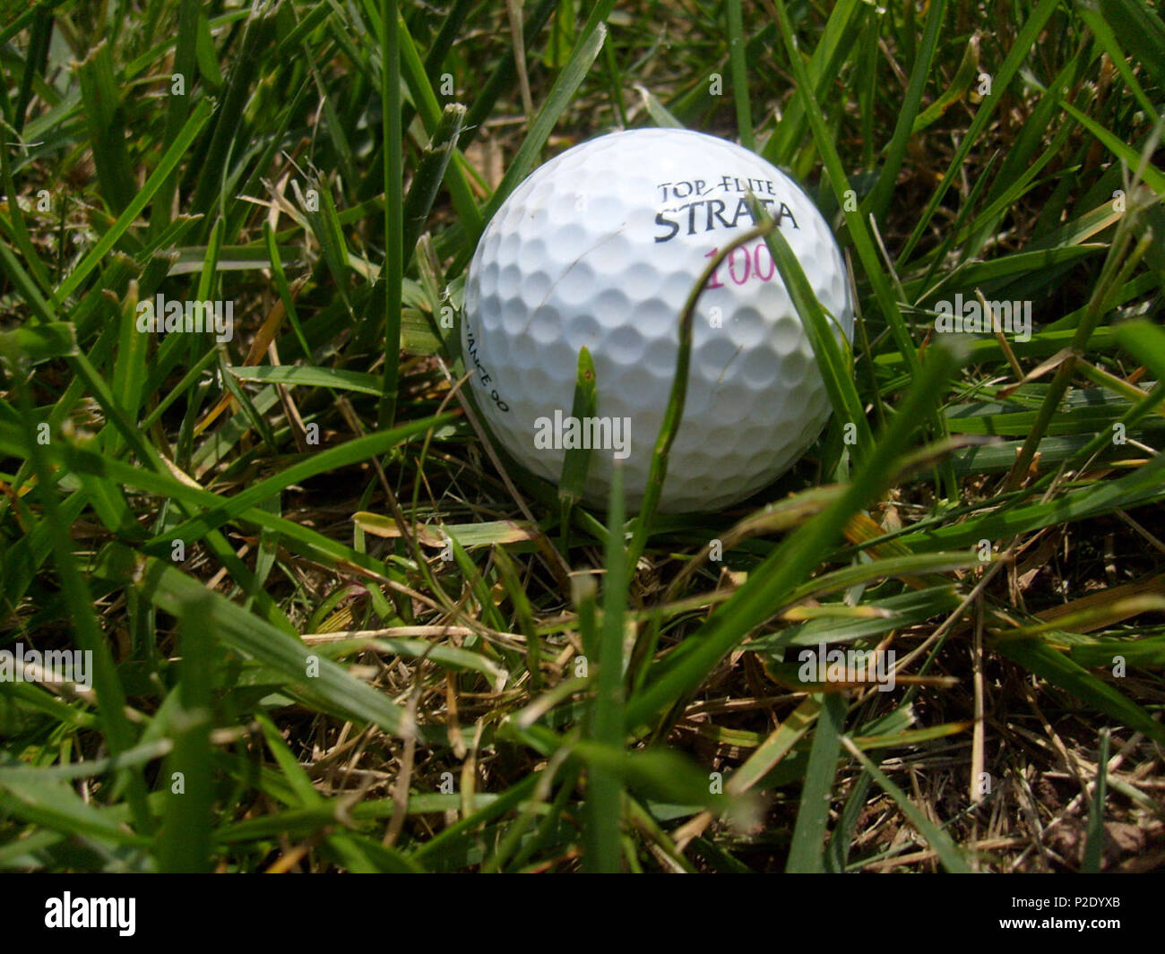 . Englisch: Golf Ball im Gras. 13 Oktober 2012, 20:22:47. Peter Griffin 23 Golf Ball im Gras Stockfoto