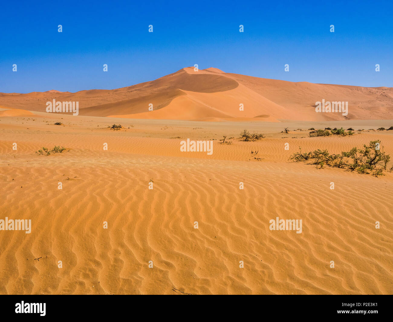 Wellen im Sand dune Stockfoto