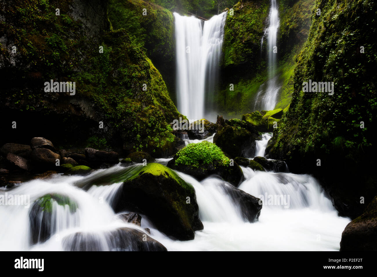 Fall Creek Falls in Washington. Dies ist eine beliebte und einfache Wasserfall wandern. Das üppige Grün und die Wasserfälle des Pazifischen Nordwesten sind ein Muss. Stockfoto