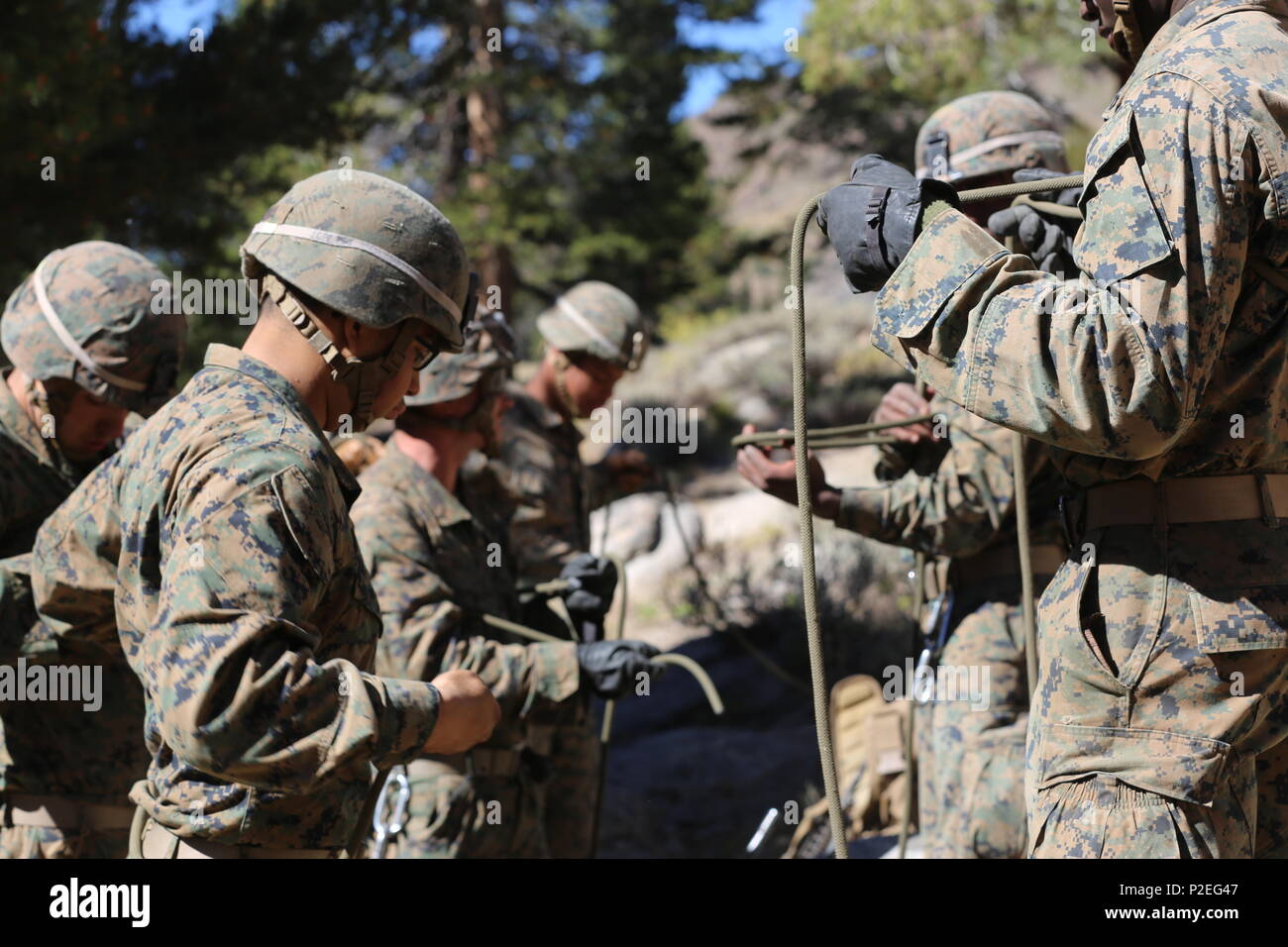 Marines ihr Seil Praxis - bindetechniken, bevor Sie anfangen, klettern die Mittlere Peak im Sommer Berg Übung in der Marine Corps Mountain warfare Training Center in Bridgeport, C.A., Sept. 6, 2016. Lima Co, 3rd Battalion, 14th Marine Regiment, 2nd Marine Division praktiziert verschiedene Knoten binden und Durchführung hält, bevor sie ihren Aufstieg, aufgrund des hohen Risikos, das mit dem Klettern. (U.S. Marine Corps Foto von Cpl. Shannon Kroening) Stockfoto