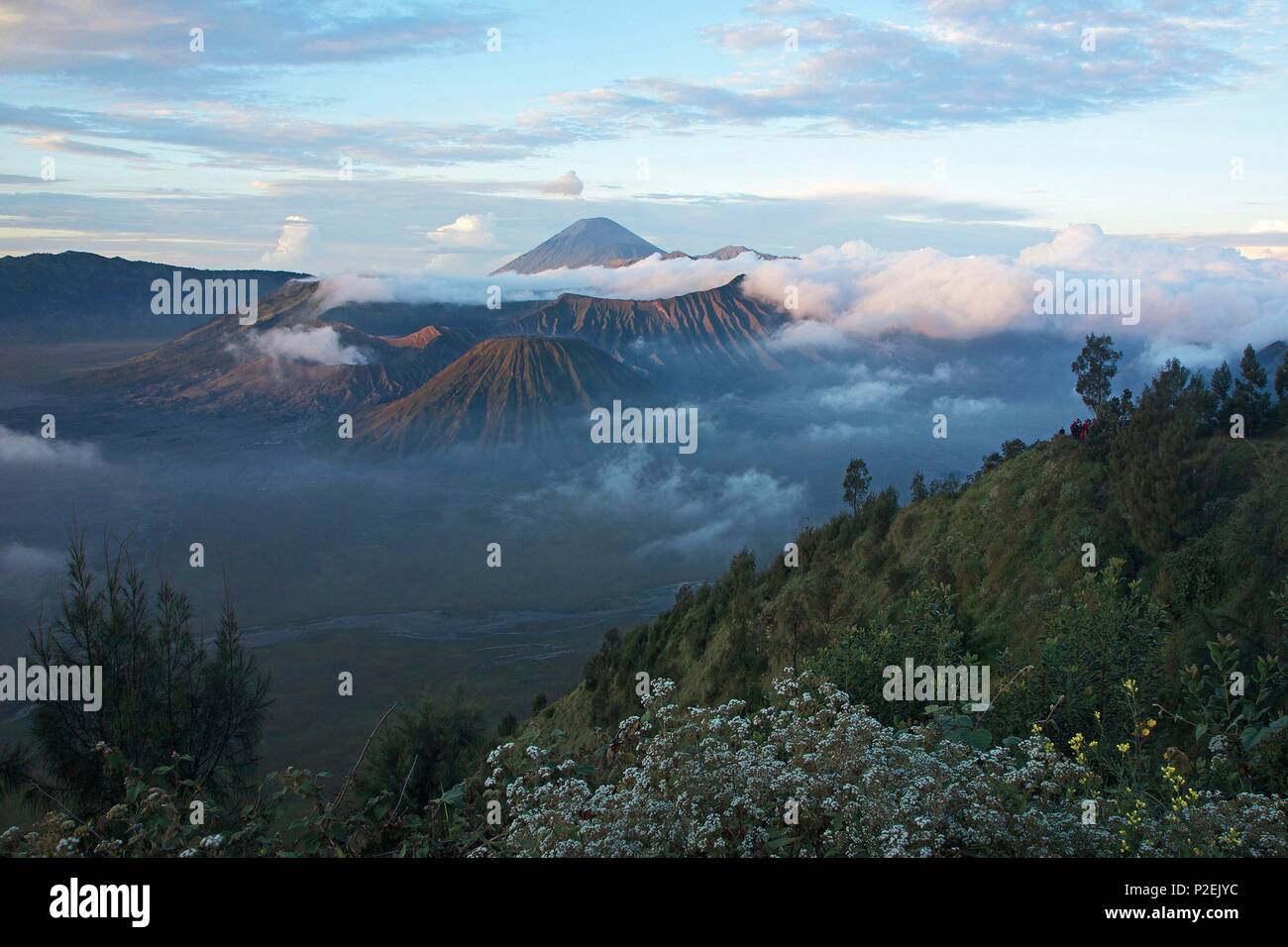 Indonesien, Java, Vulkane von Ost Java, die Caldeira des Tengger im Sunrise Stockfoto