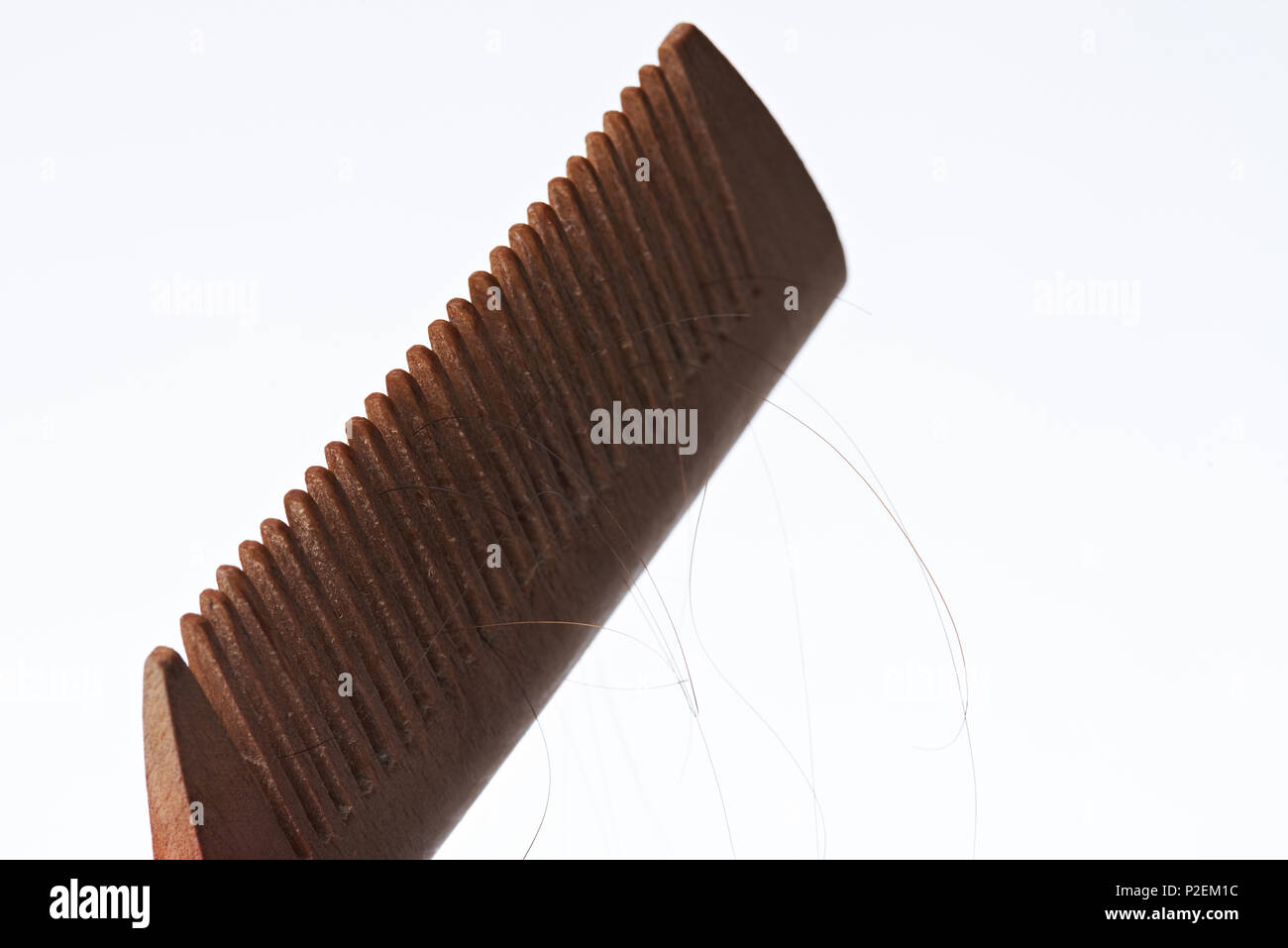 Makro von Haar Bürste mit dunklen verloren Frau Haar auf weißem Hintergrund Stockfoto