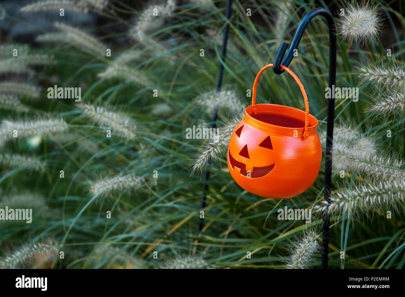 Jack-o'-Lantern Trick-or-Container behandeln bei Halloween Stockfoto