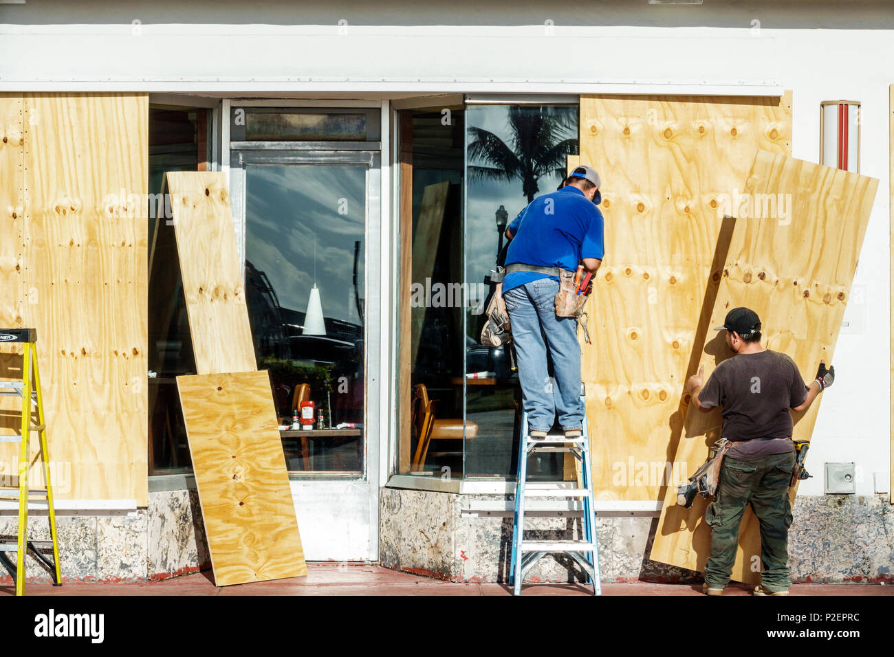 Miami Beach, Florida, TGI Friday's Restaurant Business, Irma, Sperrholz Boarding Fenster Arbeiter Vorbereitung Mann Männer männliche Leiter, Stockfoto