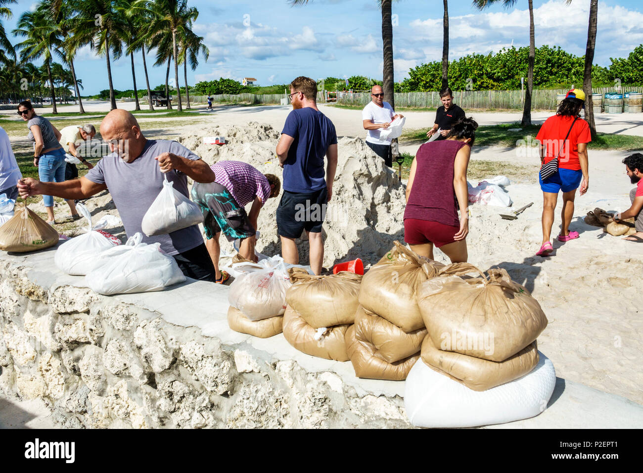 Florida, FL South, Miami Beach, kostenlose Sandsäcke, der Sturmflut Irma, Vorbereitung, Hochwasserschutz, Freiwillige Freiwillige Gemeinde Freiwilligendienst Freiwillige Arbeit Arbeiter wo Stockfoto
