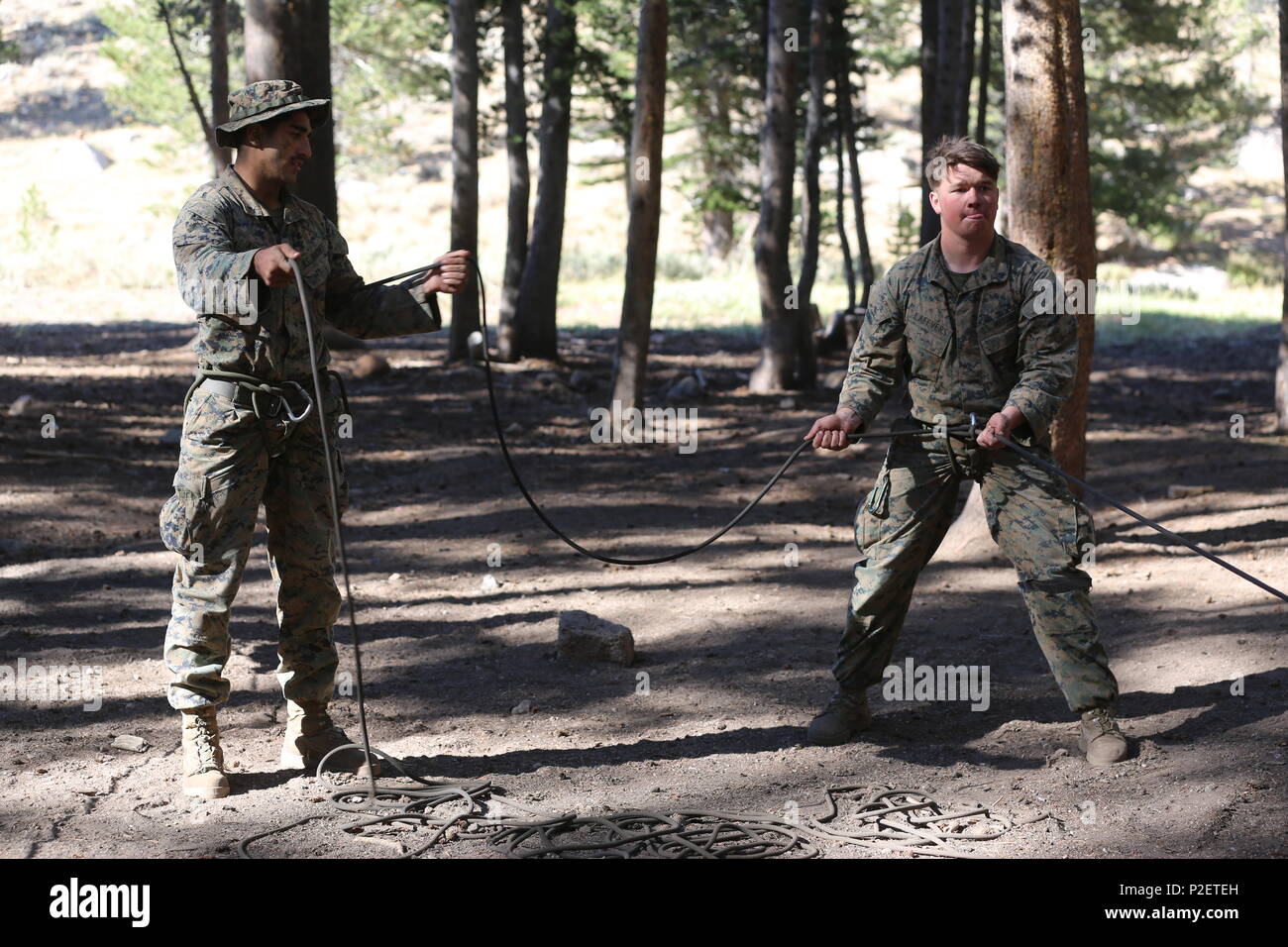 Marines ihr Seil Praxis - bindetechniken, bevor Sie anfangen, klettern die Mittlere Peak im Sommer Berg Übung in der Marine Corps Mountain warfare Training Center, Bridgeport in C.A., Sept. 6, 2016. Lima Co, 3rd Battalion, 14th Marine Regiment, 2nd Marine Division praktiziert verschiedene Knoten binden und Durchführung hält, bevor sie ihren Aufstieg, aufgrund des hohen Risikos, das mit dem Klettern. (U.S. Marine Corps Foto von Cpl. Shannon Kroening) Stockfoto