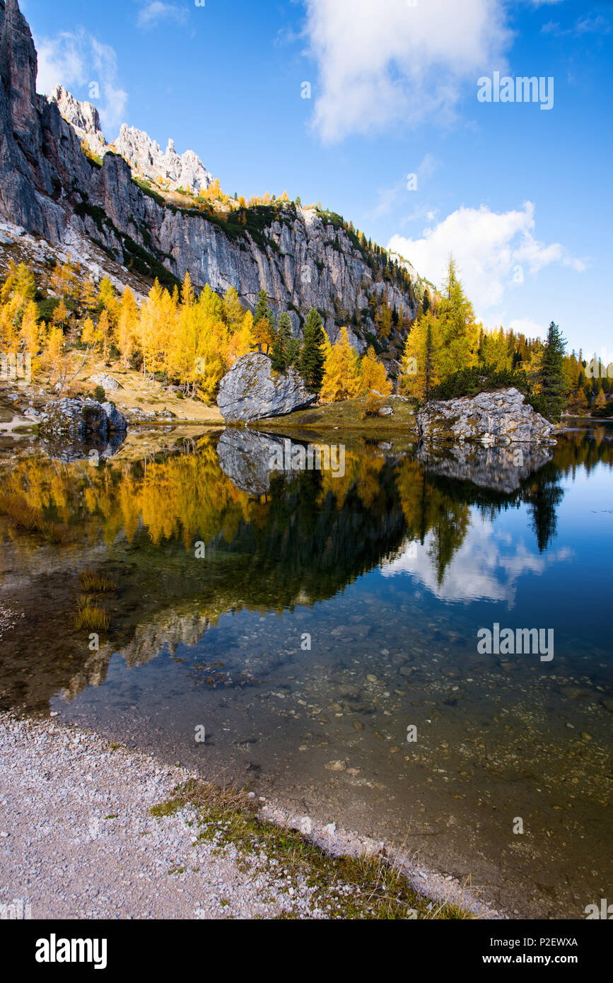 Mountain Lake, Reflexion, Herbst, Herbstlaub, Lago Federa, Dolomiten, Italien Stockfoto