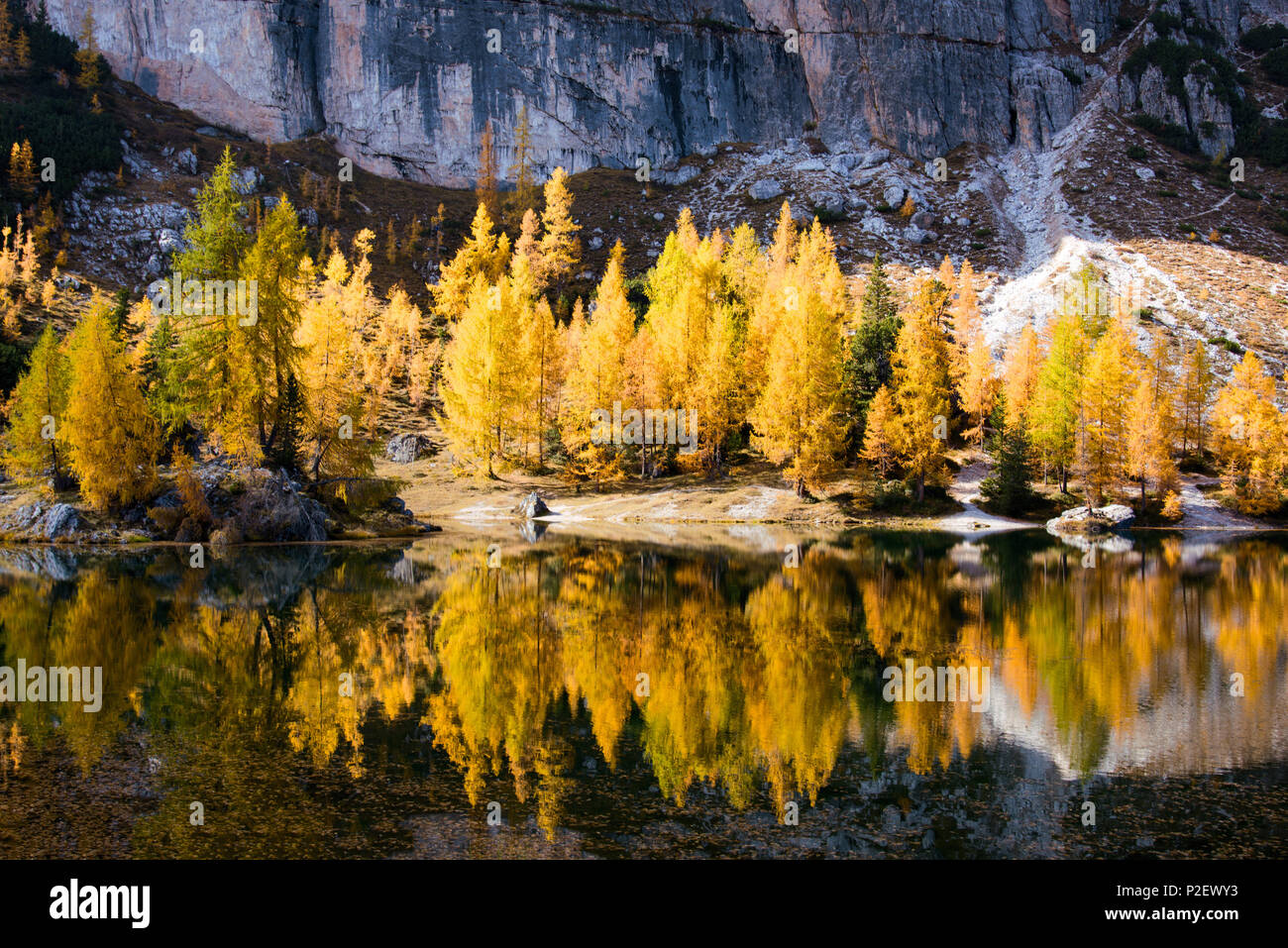 Mountain Lake, Reflexion, Herbst, Herbstlaub, Lago Federa, Dolomiten, Italien Stockfoto