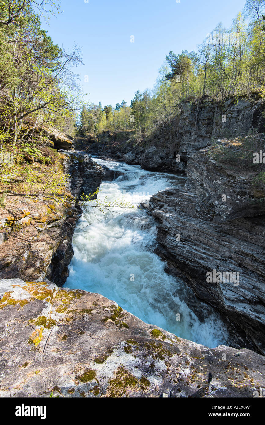 Feder, Fluss, Wasserfall, Stromschnellen, Rauma, Romsdal, Norwegen, Europa Stockfoto