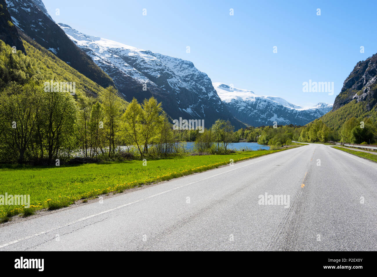 Feder, Tal, Berge, Straße, Romsdal, Norwegen, Europa Stockfoto