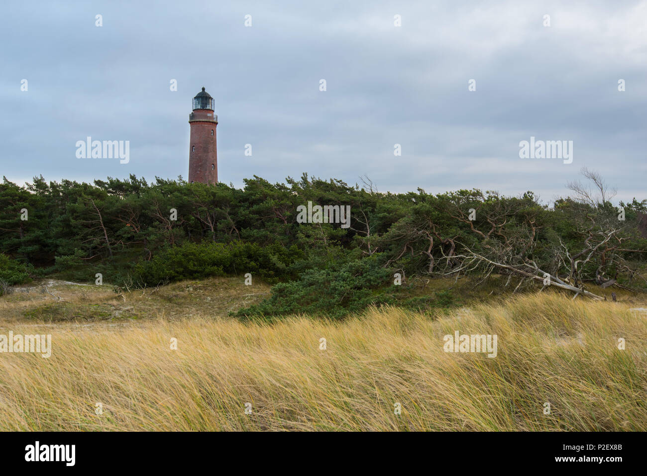 Leuchtturm, Küste, Ostsee, West Beach, Mecklenburg, Deutschland, Europa Stockfoto