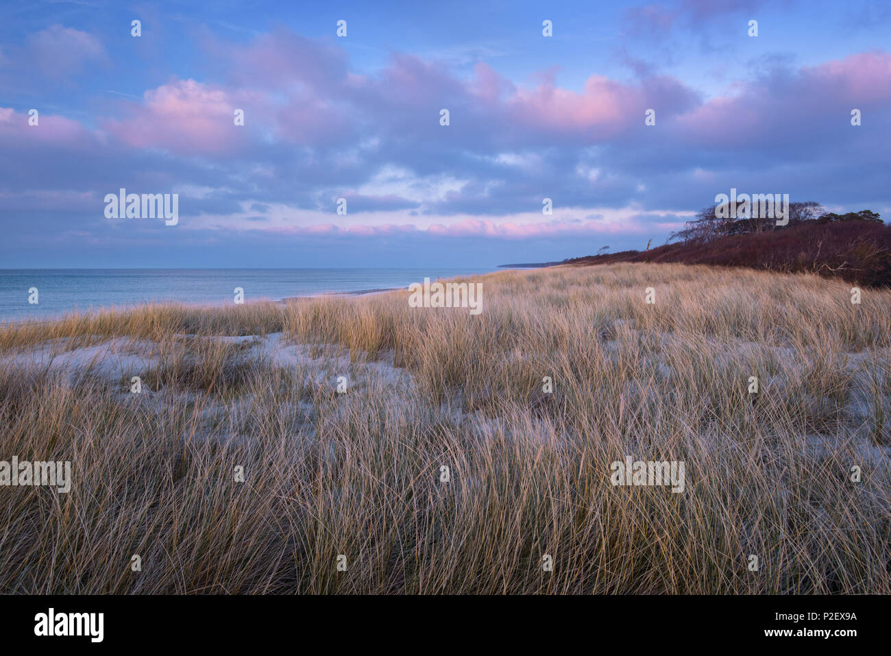 Dune, Sonnenuntergang, Küste, Ostsee, Mecklenburg, Deutschland, Europa Stockfoto