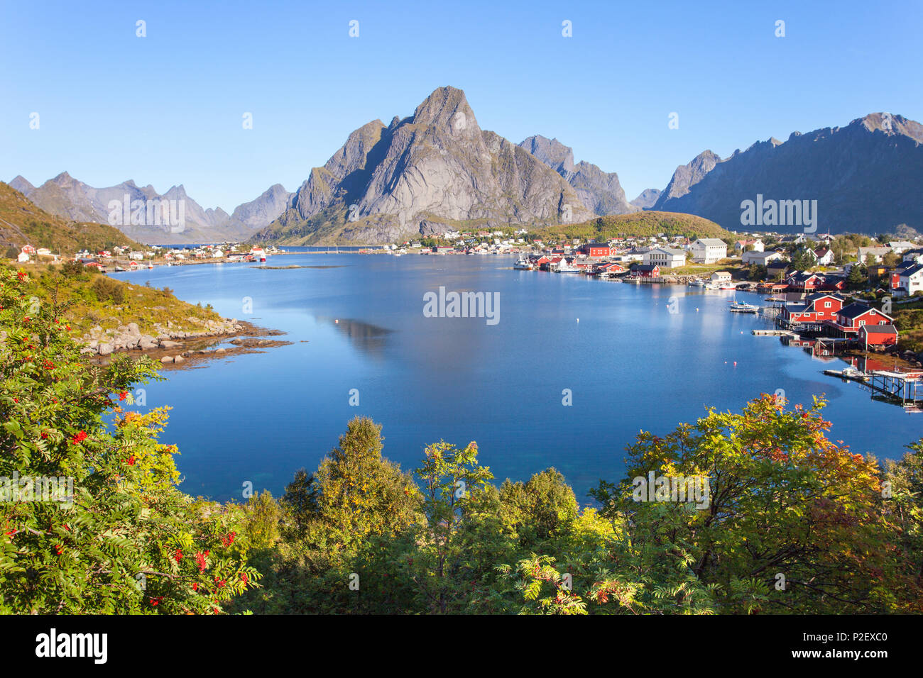 Hafen, Bucht, Reine, Fjord, Moskenesoya, Lofoten, Norwegen, Europa Stockfoto