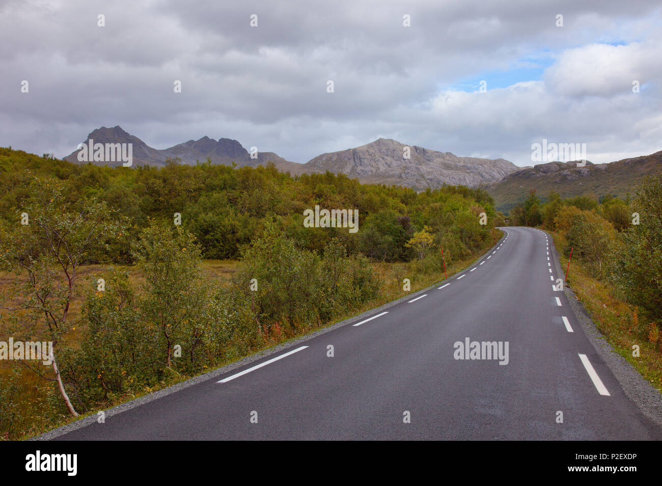 Straße, Sommer, Berge, Flakstadoya, Lofoten, Norwegen, Nord, Europa Stockfoto