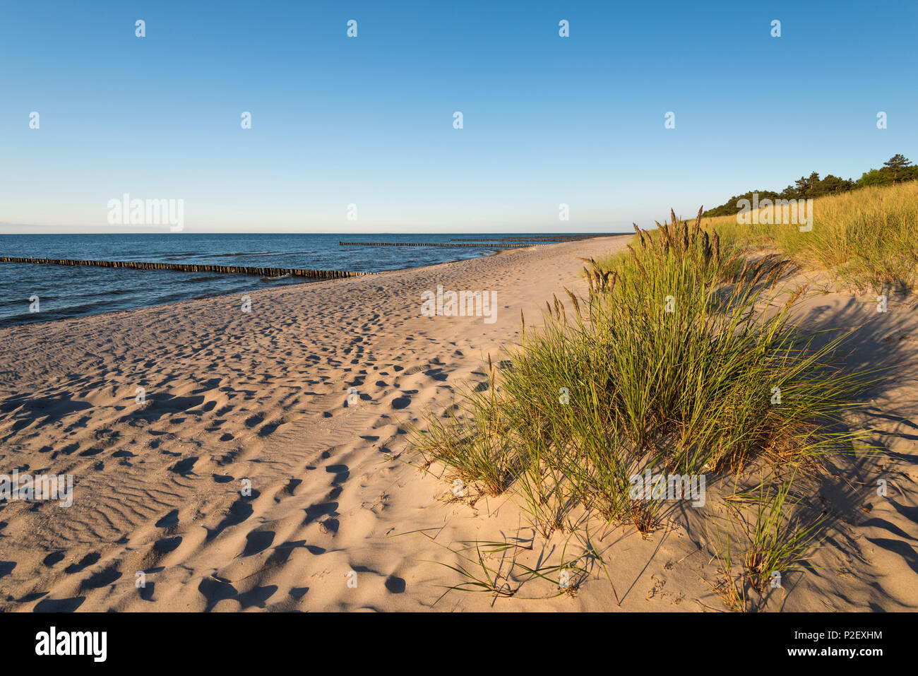 Sommer, Strand, Dünen, Ostsee, Mecklenburg, Deutschland, Europa Stockfoto