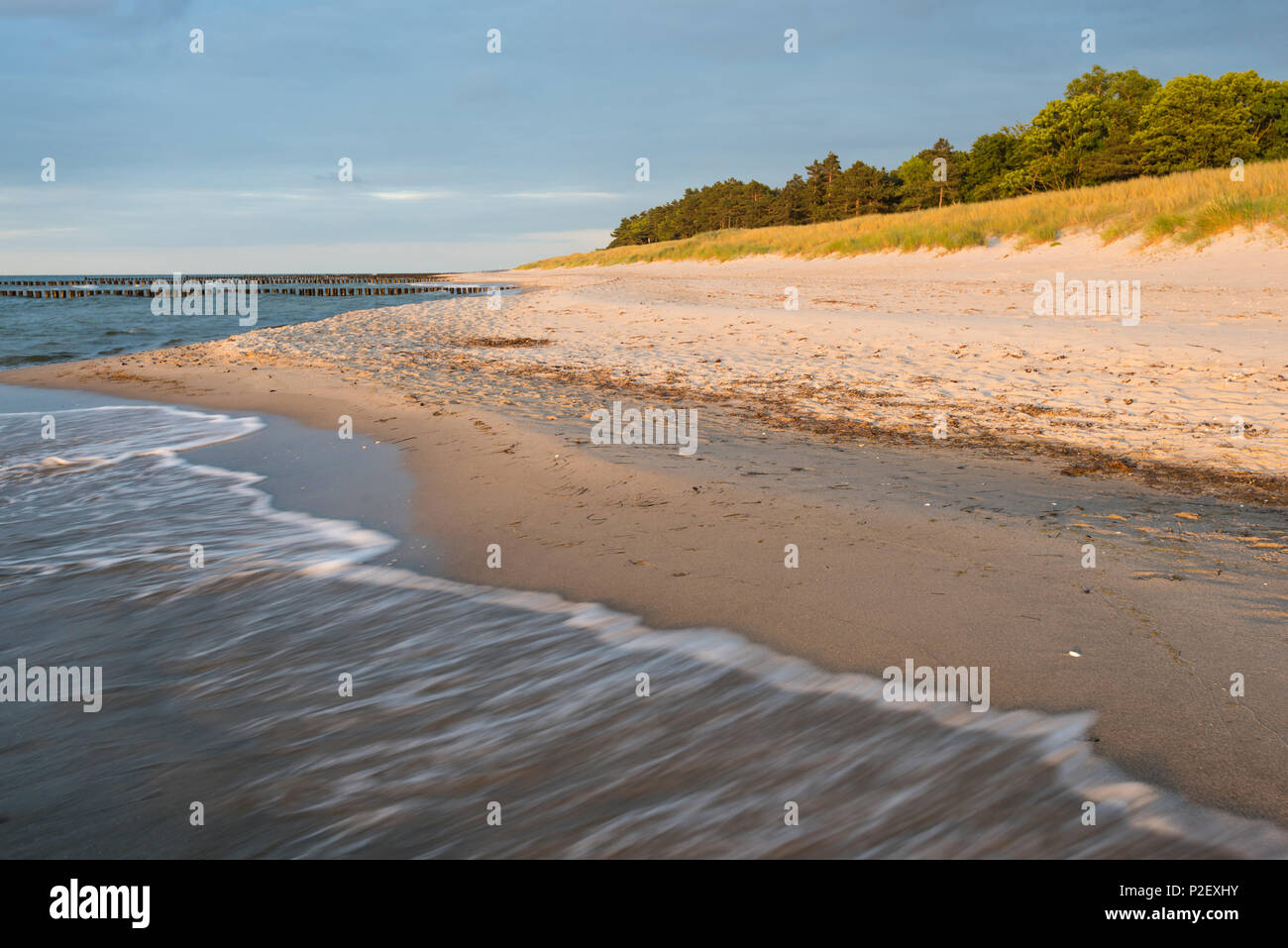 Sommer, Strand, Dam, Surf, Ostsee, Mecklenburg, Deutschland, Europa Stockfoto