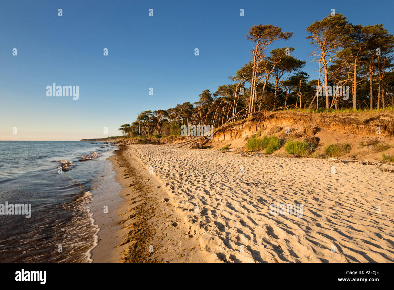 Sommer, Strand, West Beach, Golden Hour, Ostsee, Mecklenburg, Deutschland, Europa Stockfoto
