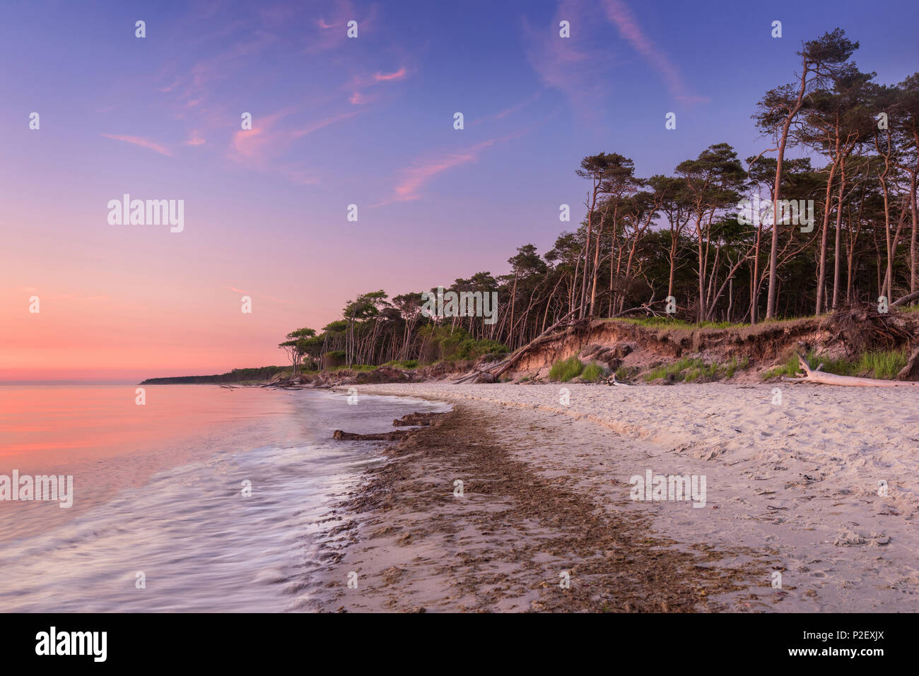 Sommer, Strand, West Beach, Sunset, Ostsee, Mecklenburg, Deutschland, Europa Stockfoto