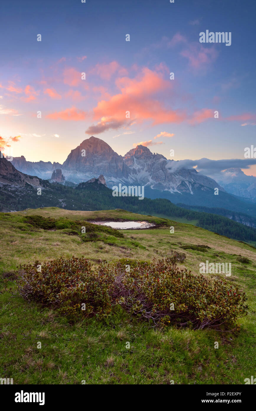 Passo Giau, Monte Cristallo, Formin, Wiese, Dolomiten, Alpen, Italien, Europa Stockfoto
