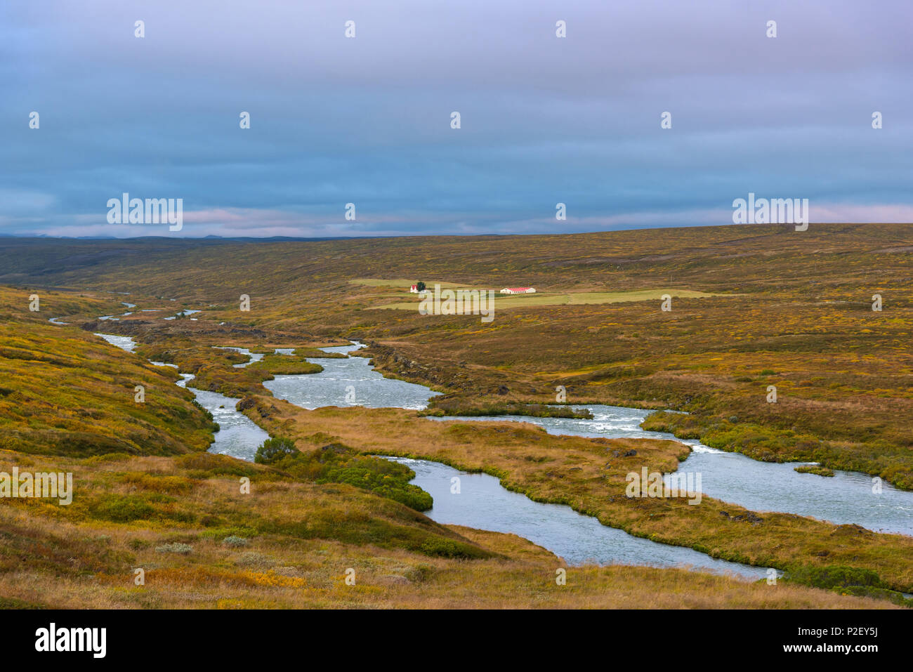 Hochland und Tiefland, Fluss, Laxa, Hof, Häuser, Tundra, Island, Europa Stockfoto