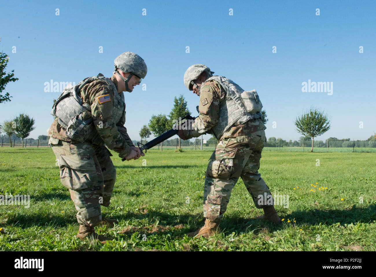 Lamere Fotos und Bildmaterial in hoher Auflösung Alamy