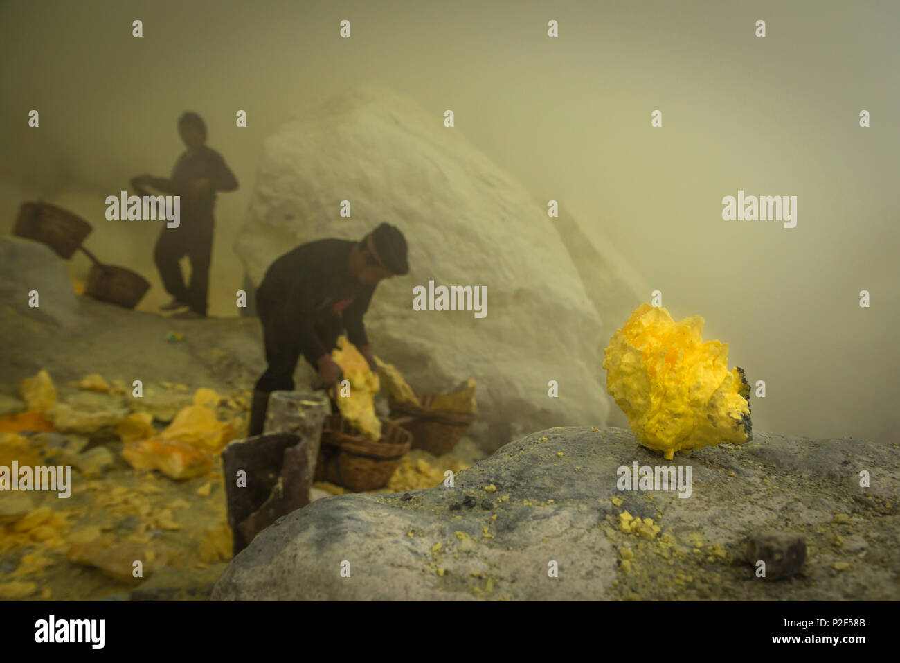 Bergleute der Teufel Mine von Ijen Vulkans Beladen Beförderung Körbe mit Schwefel - Indonesien, Java Stockfoto