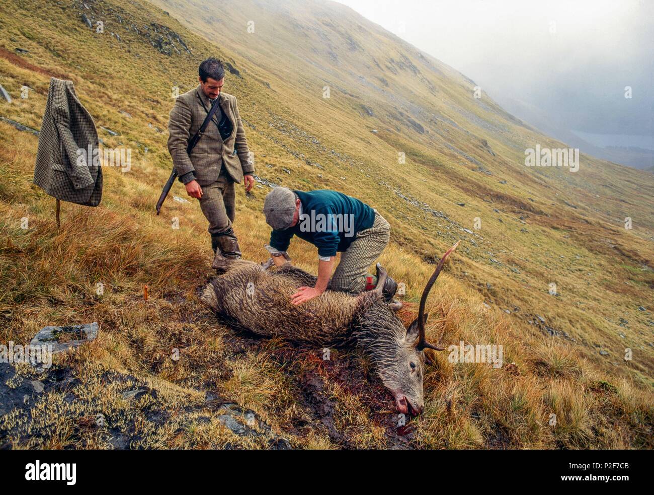 Jäger mit Wild, Schottland, Großbritannien, Europa Stockfoto