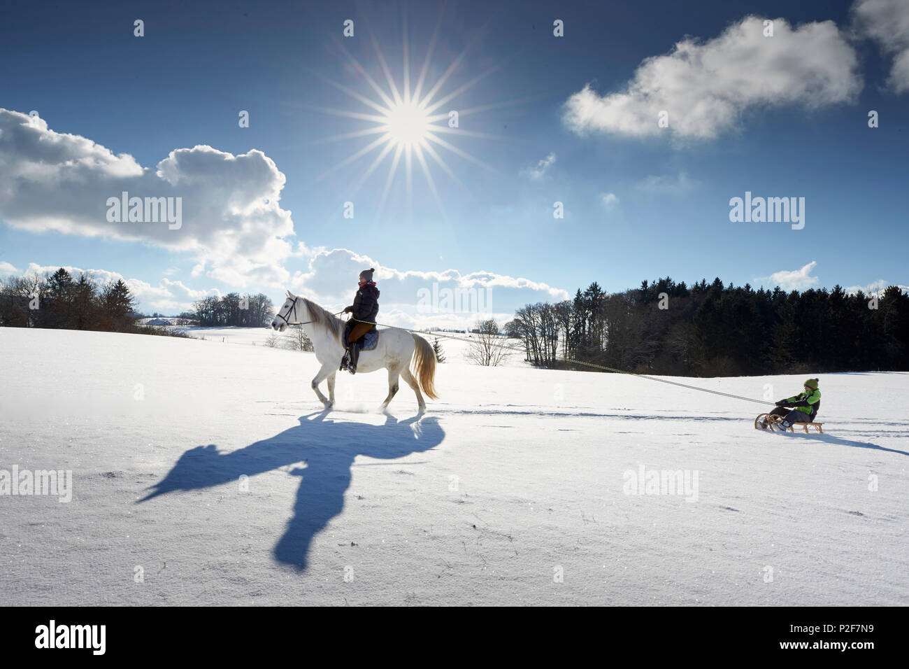 Mutter auf Pferd ziehen Kinder auf Schlitten, Buchensee, Muensing Bayern Deutschland Stockfoto