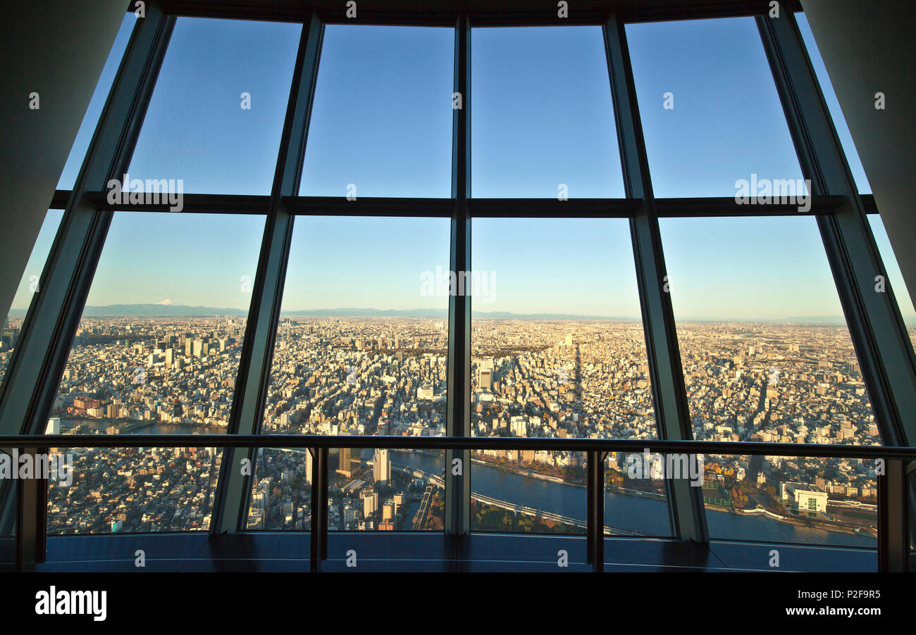 Tokyo mit Sumida River und Mt. Fuji von Skytree durch das Fenster gesehen, Sumida-ku, Tokyo, Japan Stockfoto