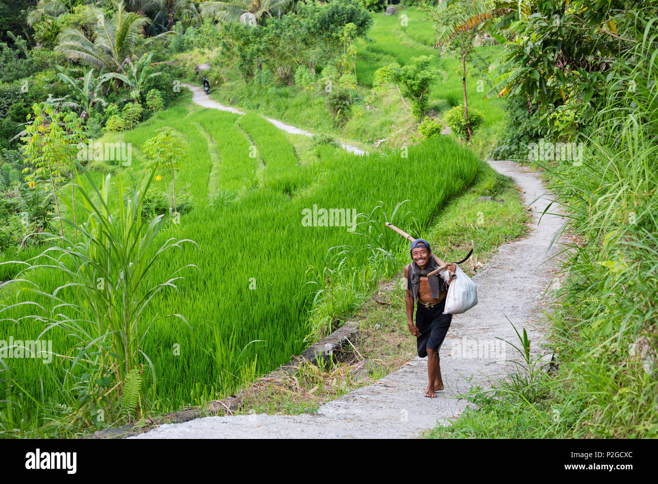Bauern auf dem Weg nach Hause, Reisfelder im Hintergrund, in der Nähe von Sidemen, Bali, Indonesien Stockfoto