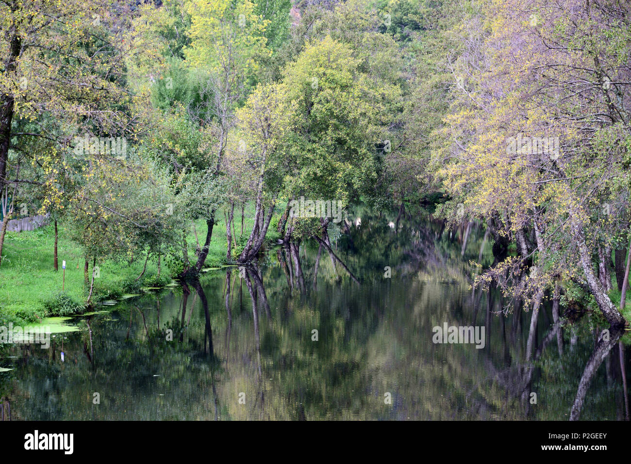 Reflexion der Bäume im Wasser, Naturpark Montesinho in der Nähe von Braganca, Tras-os-Montes, Northeast-Portugal, Portug Stockfoto