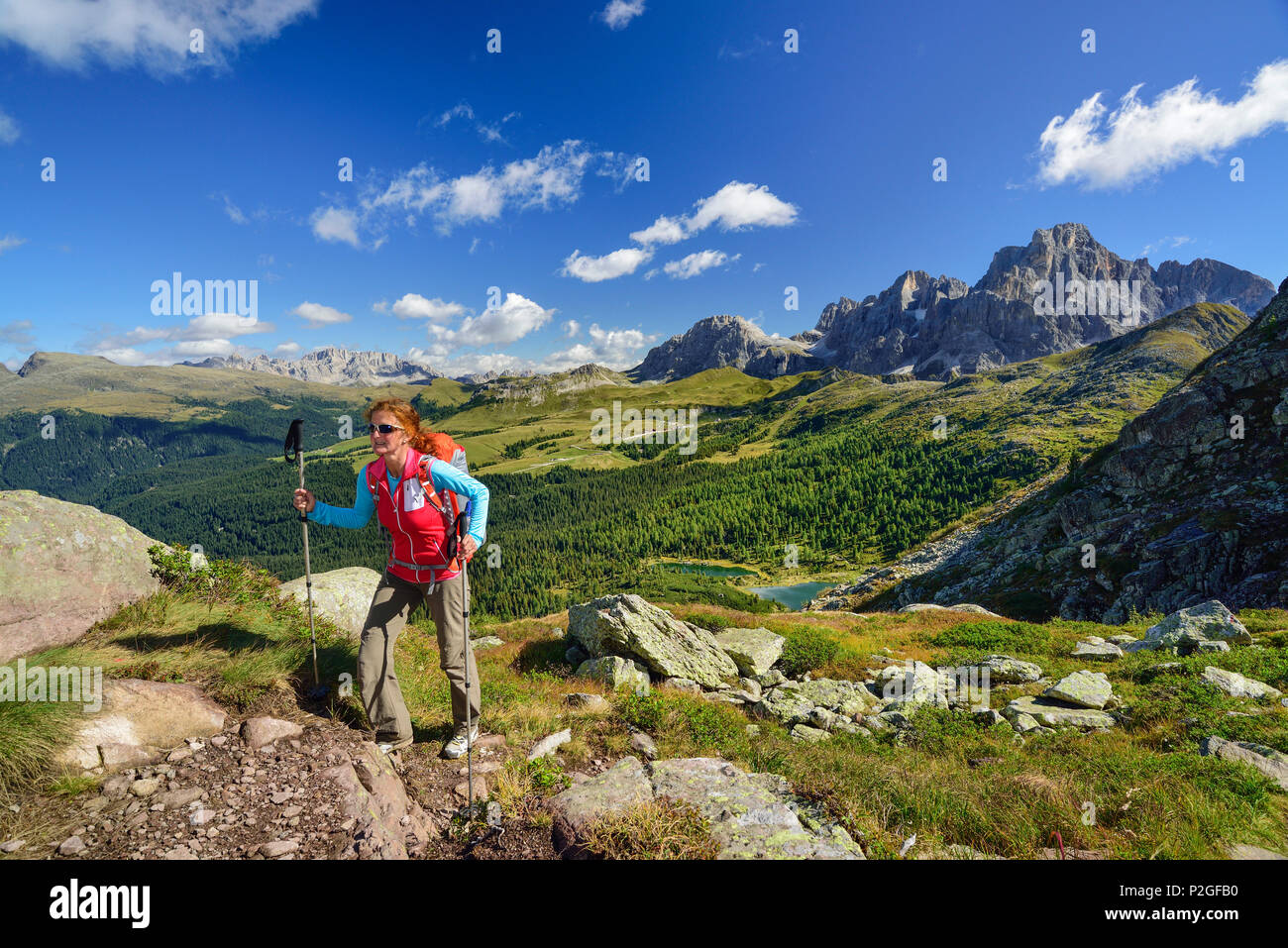 Frau zu Fuß auf dem Weg hoch über dem Colbricon mit Pala Bereich im Hintergrund, Trans-Lagorai, Lagorai, Dolomiten, UNESCO-W Stockfoto