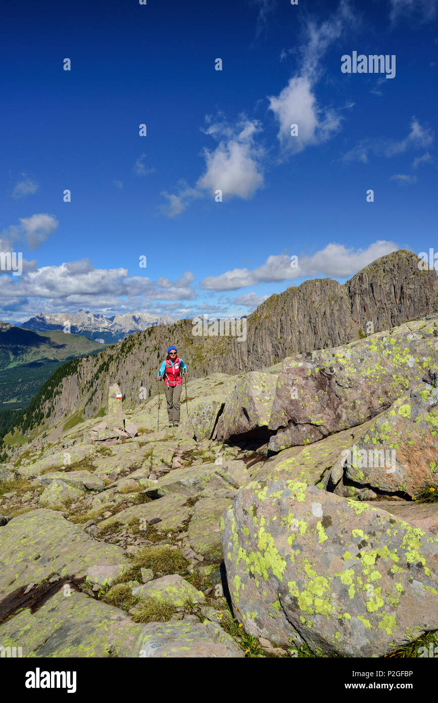 Frau wandern auf dem Weg mit Rosengarten und Colbricon Piccolo im Hintergrund, Trans-Lagorai, Lagorai, Dolomiten, Uneso Stockfoto