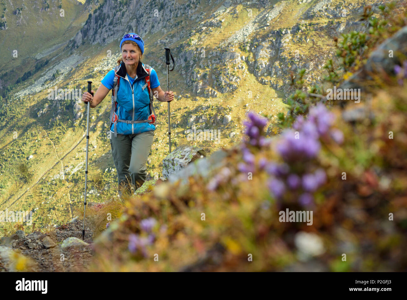 Frau wandern mit Blumen vorne, Trans-Lagorai, Lagorai, Dolomiten, UNESCO Weltnaturerbe Dolomiten, Trentino Stockfoto